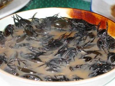 10-more-utterly-disgusting-foods_9.jpg
